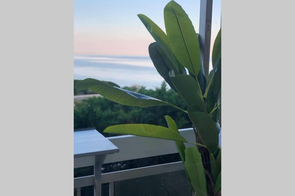 Charmant studio avec terrasse vue mer à 50 m Sainte-Maxime Exterior foto